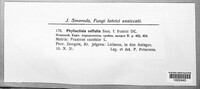 Image Associated With the Occurence